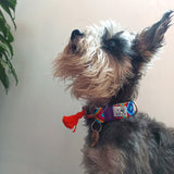 Collar "COZUMEL"