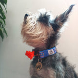 Collar "TEPOTZOTLAN´´