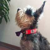 Collar "ATLIXCO"