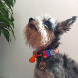 Collar "CHACAHUA"