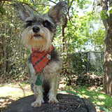 Bandana "UXMAL"