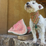 Bandana "CALAKMUL"