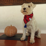 Bandana "COBÁ"
