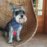 Bandana "PALENQUE"