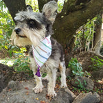Bandana "CHOLULA"